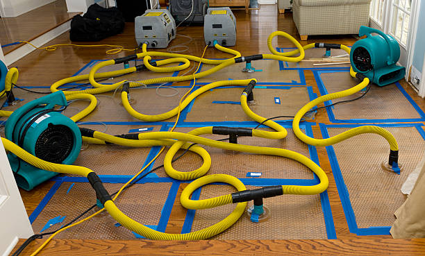 Professional Water Damage Restoration technician working in Blair, SC